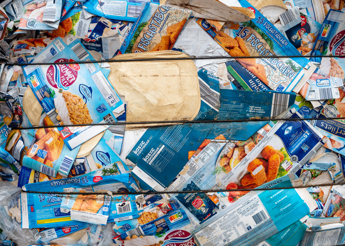 2022 06 Ortessa Veyzle 297