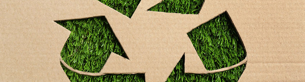 Sustainable Packaging Impact Sales Banner